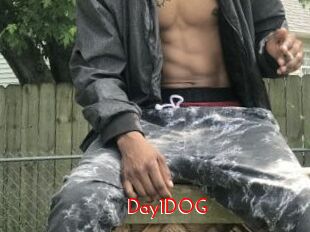 Day1DOG