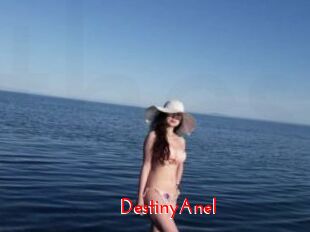 DestinyAnel