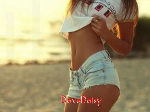 DoveDaisy
