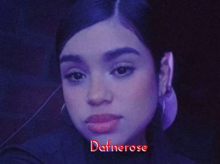 Dafnerose