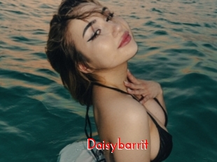 Daisybarrit