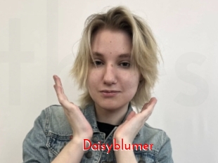 Daisyblumer