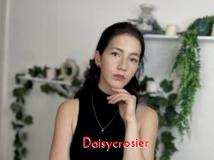 Daisycrosier