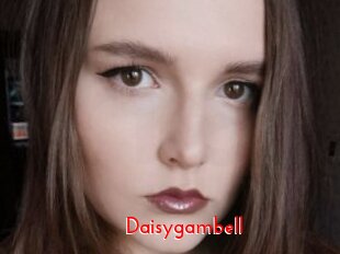 Daisygambell