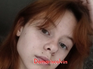 Damariscolvin