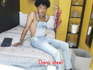 Danii_steel