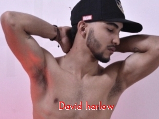 David_harlow