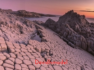 davidhmodel The Sex