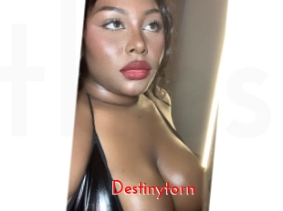 destinytorn The Sex