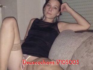 Deuxcochons