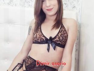 dimir_osorio The Sex