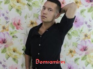 Domramires