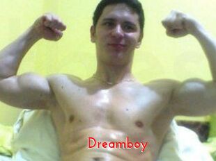dreamboy The Sex