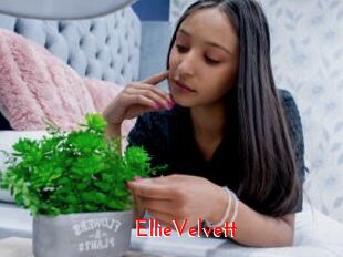 EllieVelvett