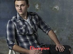 Elscorpion