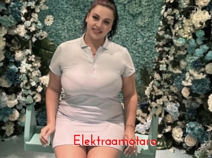 Elektraamotaro