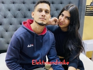Elektraandmike