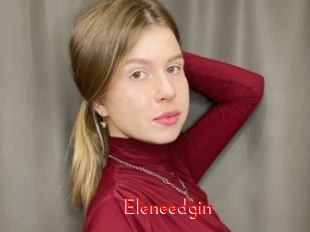 Eleneedgin