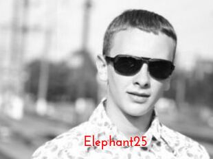 Elephant25