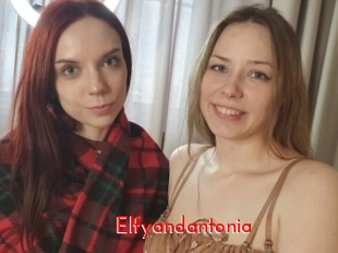 Elfyandantonia