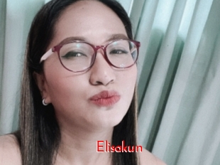 Elisakun