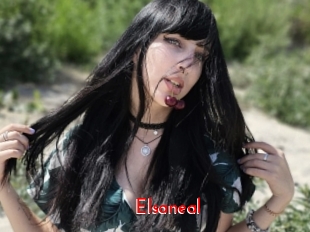 Elsaneal
