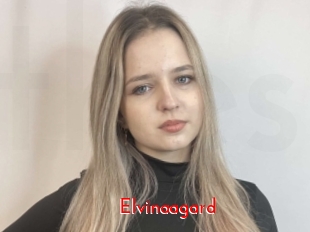 Elvinaagard