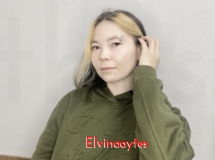 Elvinaaytes