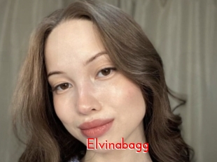 Elvinabagg