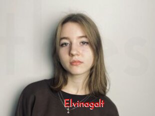 Elvinagalt