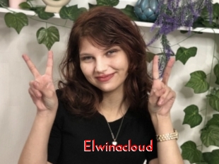 Elwinacloud