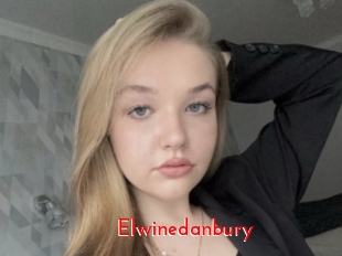 Elwinedanbury