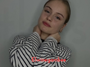 Elwinegambee