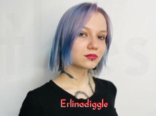 Erlinadiggle