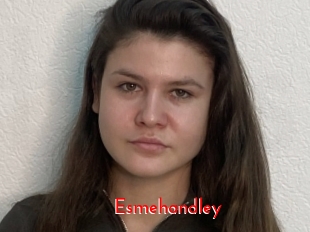 Esmehandley