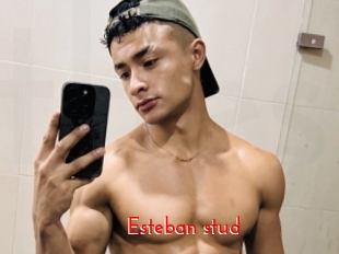 Esteban_stud