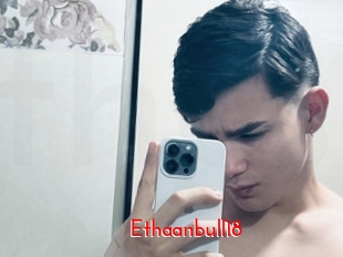 Ethaanbull18