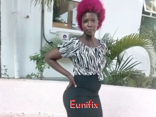 Eunifix