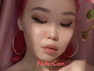 FactorCam
