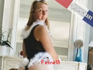 Feline18