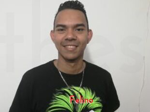 Felino