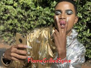 FlameGrilledSpice