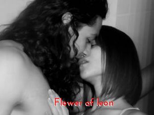 Flower_of_leon