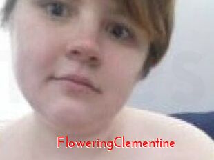 FloweringClementine