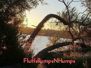 FluffsRumpsNHumps The Sex