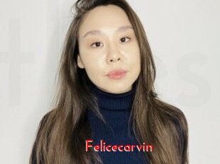 Felicecarvin