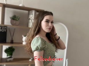 Felicedrover