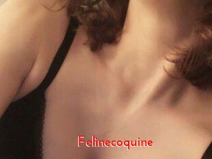 Felinecoquine