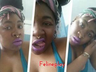 Felineplay