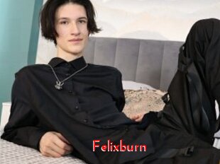 Felixburn